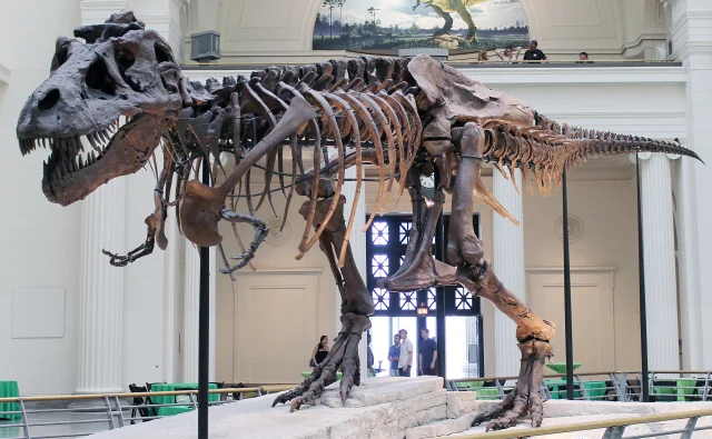 Оцененный в 25 млн долларов скелет динозавра оказался подделкой