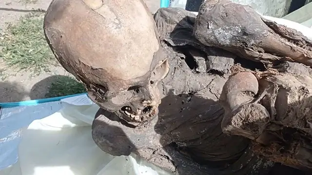 Житель Перу хранил у себя в шкафу 600-летнюю мумию