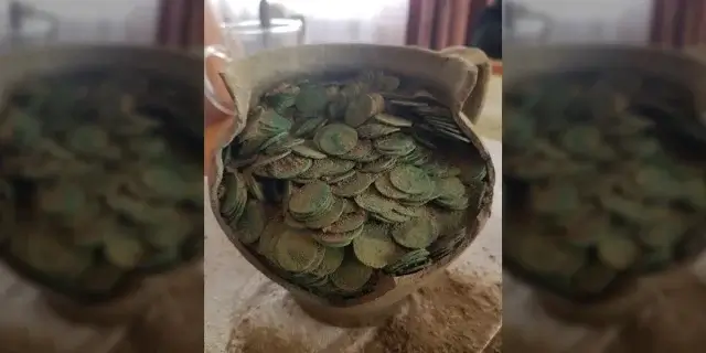 На ферме в Польше обнаружили клад с монетами 400-летней давности