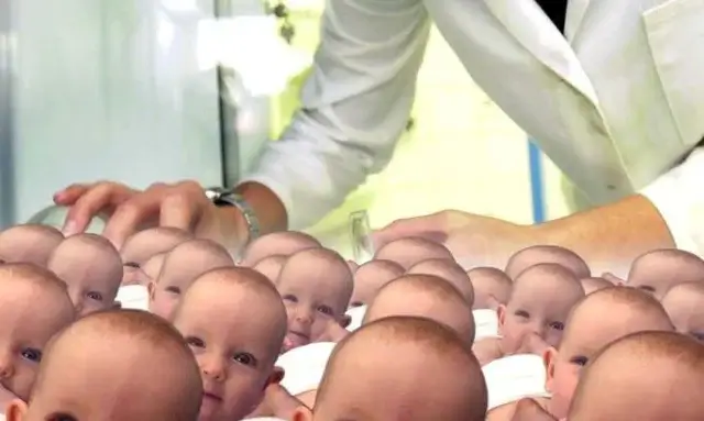 Ученые создали в лаборатории человеческие эмбрионы