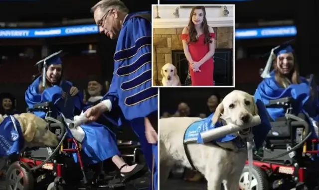 Служебный пес получил диплом об окончании университета в США