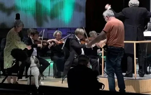Датский оркестр исполнил Моцарта с тремя собаками