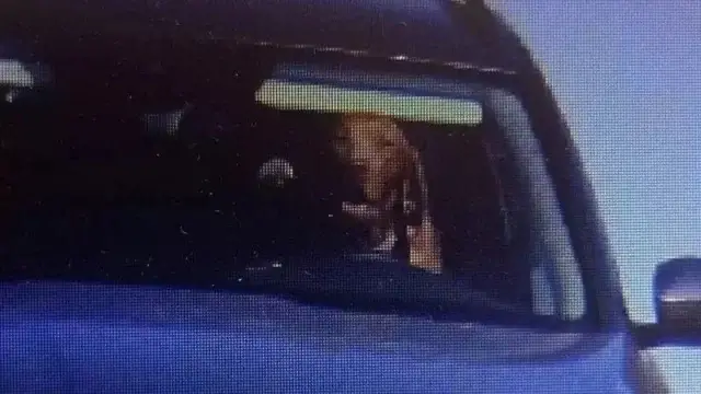 В Словакии оштрафовали водителя, посадившего за руль свою собаку