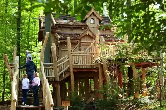 Дома на деревьях построили в Германии