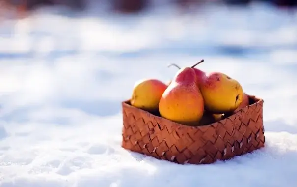 Ешьте эти фрукты, чтобы поддержать здоровье зимой