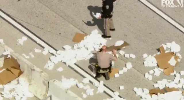 Трассу в Лос-Анджелесе засыпало туалетной бумагой